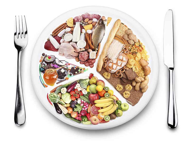 alimentation équilibrée