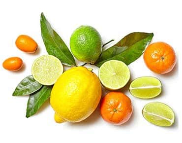 agrumi limone, lime, arancia, pompelmo