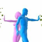 Défenses immunitaires : Remèdes pour Renforcer le Système Immunitaire