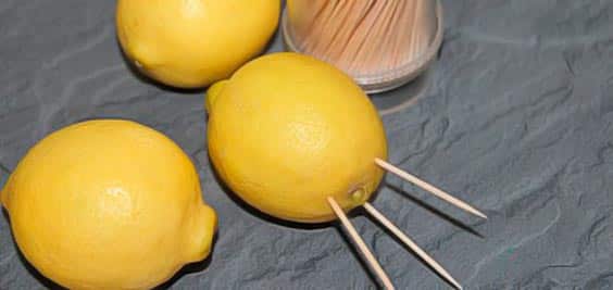 récolter le jus di citron sans le couper
