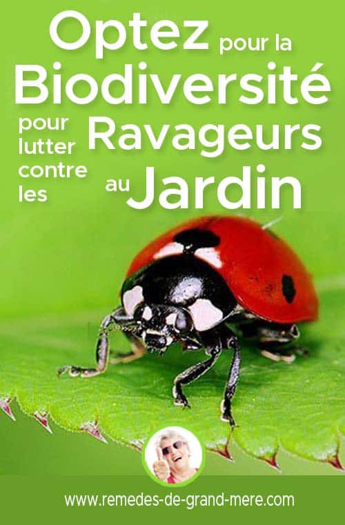 utiliser la biodiversité pour lutter contre les ravageurs du jardin