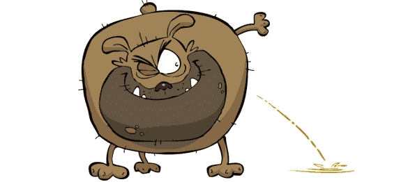 Lutter contre les urines de chien