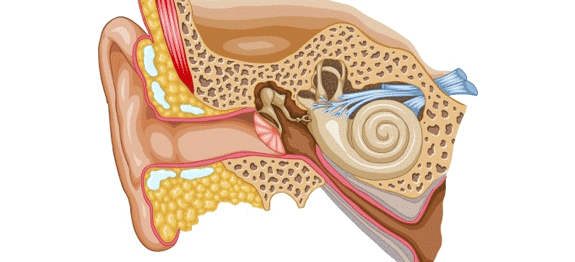 calmer les douleurs d'oreilles