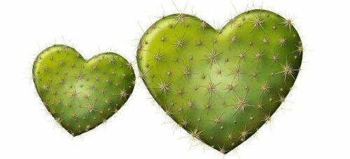 astuces pour cactus