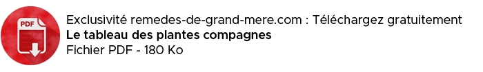 tableau des plantes compagnes remedes de grand mere