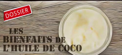 huile de coco : les bienfaits
