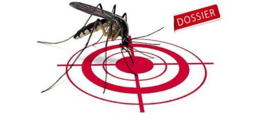 pourquoi certains sont plus piqués que d'autres par les moustiques ?
