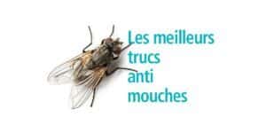 trucs anti mouches