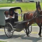 Remèdes du monde : La médecine Amish