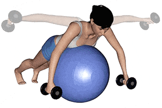 exercice musculation dos vouté