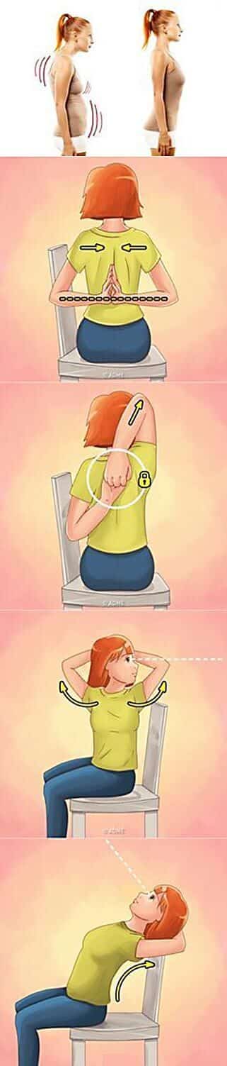 exercices dos courbé