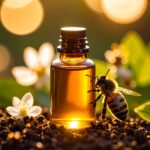 Propolis : ce trésor des abeilles qui soigne plus qu’on ne le croit