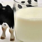 Comment savoir si on est intolérant au lactose ?
