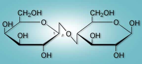Chemische structuur van lactose