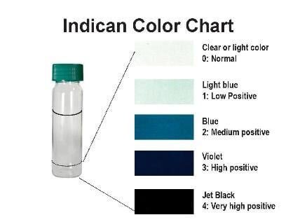 test indican