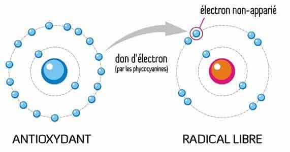 antioxydant processus