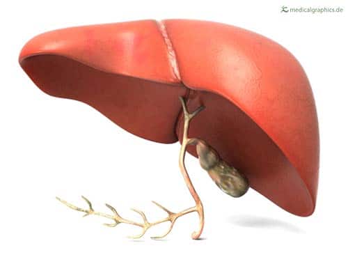 disintossicazione del fegato e della cistifellea
