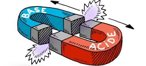 importance equilibre acide base