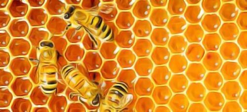 comment reconnaitre le vrai miel