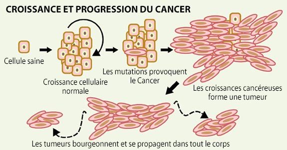 croissance et progression du cancer