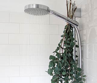 douche eucalyptus