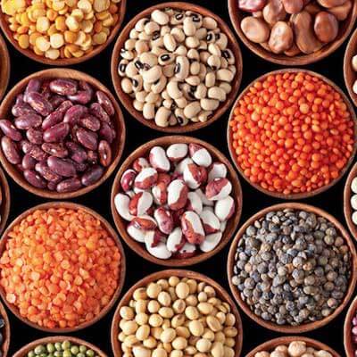 proteines legumes coques