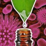 7 Huiles essentielles anti-bactériennes les plus puissantes
