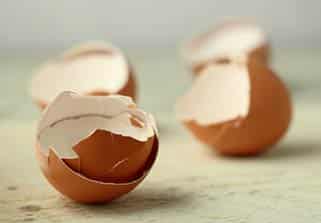 riutilizzare i gusci d'uovo