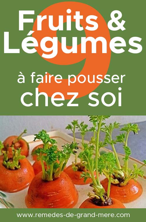 fruits et légumes qui peuvent pousser sans jardin