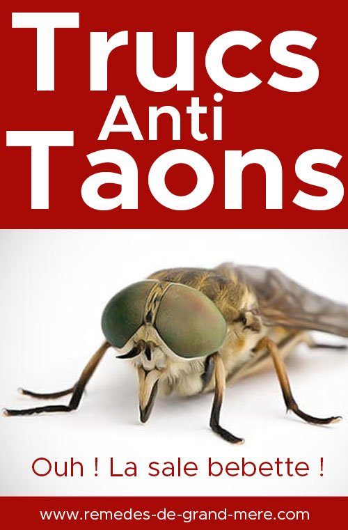 trucs anti taons