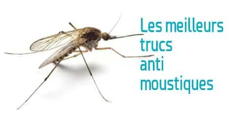 trucs anti moustiques