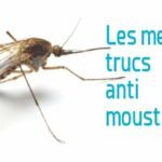 Trucs Anti-Moustiques pour passer l'été en paix