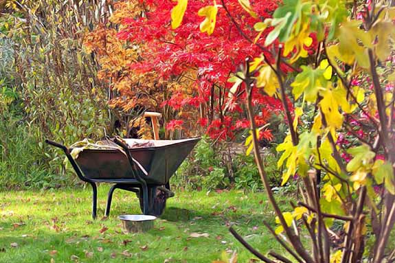 jardin en automne : les taches à réaliser