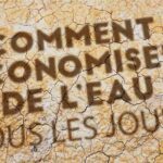 Comment Économiser l'Eau : Astuces pour Consommer Beaucoup Moins d'Eau