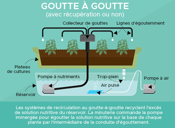 hydroponique : Système goutte à goutte schéma