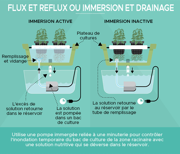 culture hydroponique : flux et reflux