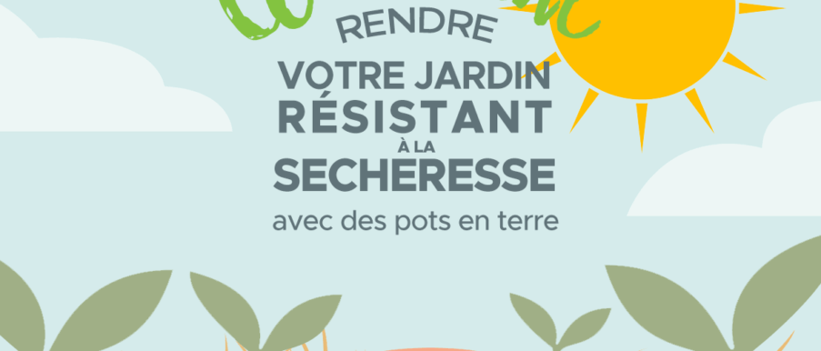 comment économiser 70% d'eau dans le jardin