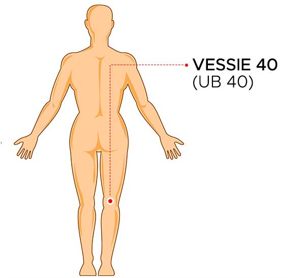 point acupression ub40 - vessie 40