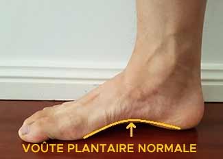 pieds plat voute plantaire normale