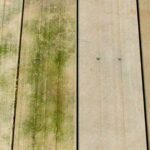 Comment nettoyer la mousse et les algues vertes de la terrasse