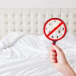 Les punaises de lit : comment survient l'infestation et surtout, comment les éviter