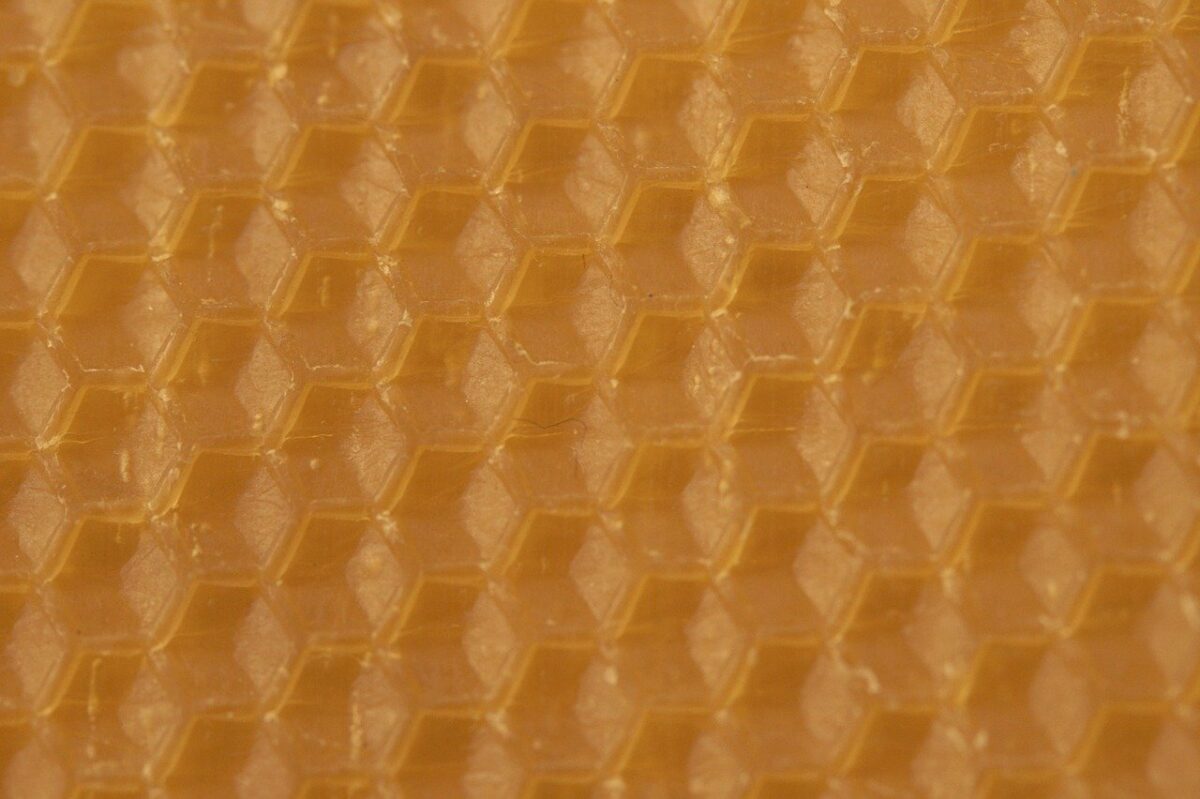 Cire d'abeille un soin complet pour tous les problèmes de cheveux