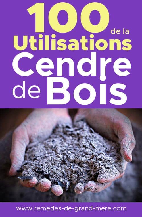 100 utilisations de la cendre de bois