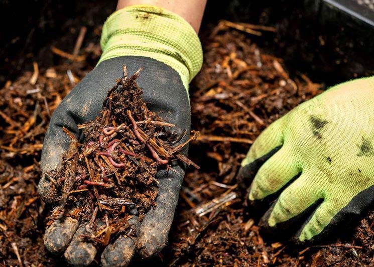 utilisation de la cendre de bois dans le compost