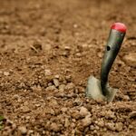Jardinage : Quels sont les différents types de sols et comment bien les entretenir ?
