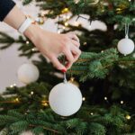 Sapin en pot : Comment garder son sapin de noël frais plus longtemps