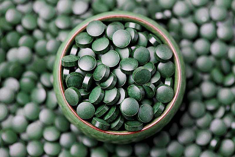 spiruline pour combattre le cancer, le surpoids, le cholestérol, la dépression