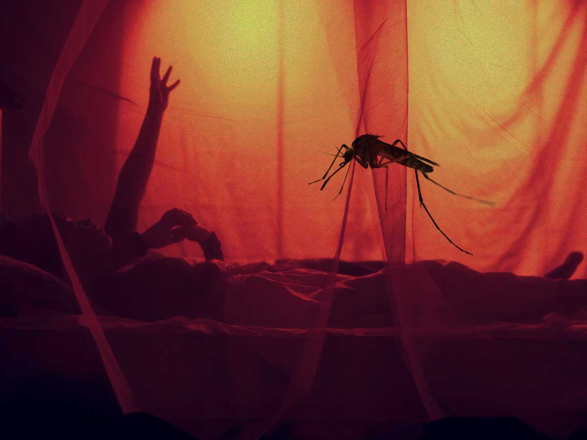 éviter attirer moustique chambre