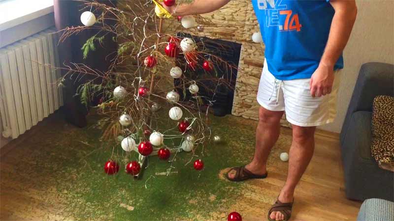 Quand les fêtes sont finies, le sapin de Noël a perdu toutes ses aiguilles