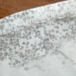 Dites adieu aux taches de moisissure sur vos vêtements : 5 astuces de nettoyage efficaces